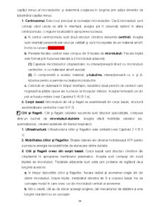 Biologie celulară - Pagina 58