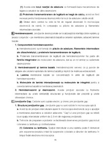 Biologie celulară - Pagina 65