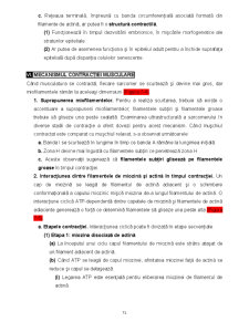 Biologie celulară - Pagina 71