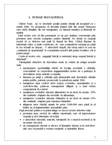 Plan de Afaceri Club Tonic SA - Pagina 3