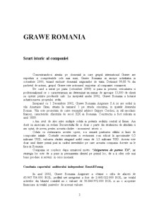 Lucrare de practică - piața asigurărilor Grawe România - Pagina 3