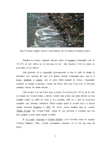 Tsunami - Pagina 3