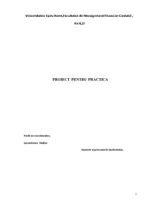 Proiect de practică - SC MCA Contex SRL - Pagina 1