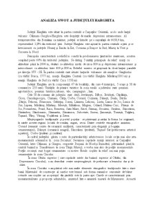 Analiza SWOT județului Harghita - Pagina 1