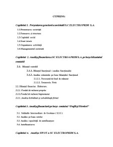 Analiza Financiară a SC Electroprim SA - Pagina 2