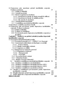 Delimitări și Fundamentări Teoretice privind Imobilizările Corporale - Pagina 2