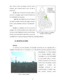 Municipiul Moreni - studiu geografic din perspectiva dezvoltării durabile a spațiului urban - Pagina 5