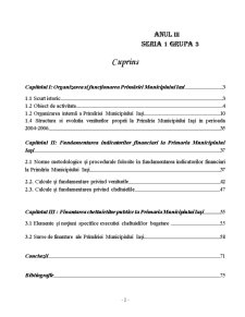 Organizarea și funcționarea Primăriei Municipiului Iași - Pagina 2