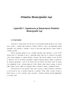 Organizarea și funcționarea Primăriei Municipiului Iași - Pagina 3
