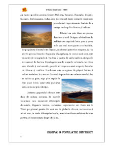 Tibet - Pagina 4