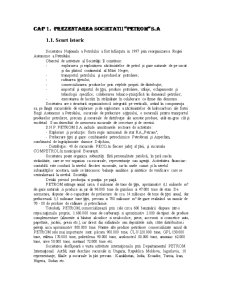 Proiectarea Sistemelor Informatice SC Petrom SA - Pagina 1