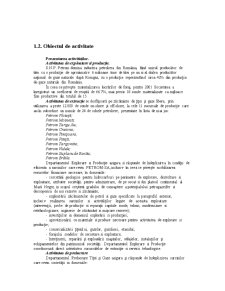 Proiectarea Sistemelor Informatice SC Petrom SA - Pagina 3