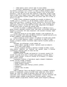 Proiectarea Sistemelor Informatice SC Petrom SA - Pagina 4