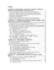 Studiu monografic - Agenția pentru Ocuparea Forței de Muncă Bacău - Pagina 1
