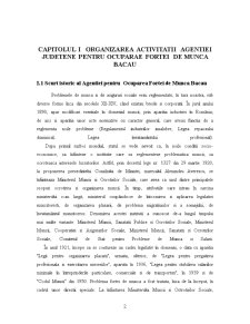 Studiu monografic - Agenția pentru Ocuparea Forței de Muncă Bacău - Pagina 3