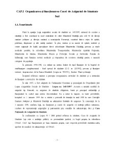 Gestiunea financiară la CAS Iași - Pagina 2