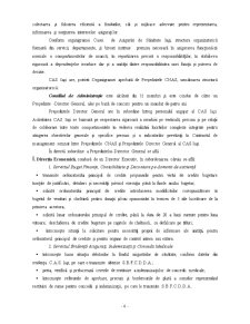 Gestiunea financiară la CAS Iași - Pagina 5