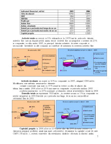 Analiza performanței portofoliului - Petrom SA - Pagina 5