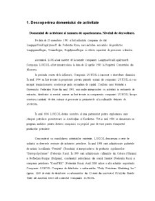 Raport privind analiza întreprinderii internaționala Lukoil - Pagina 2