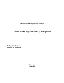 Cultura Organizațională și Managerială - Pagina 1