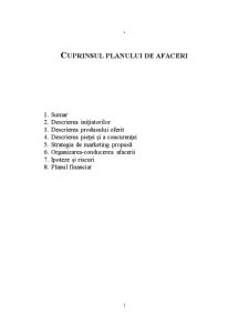 Plan de Afacere - SC Vipers SRL - Pagina 1