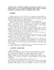 Plan de Afacere - SC Vipers SRL - Pagina 3