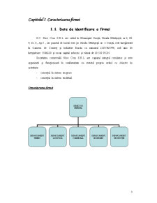 Analiza și evaluarea operațiunilor logistice la nivelul SC Nice COM - Pagina 3