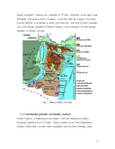 Echilibre și Dezechilibre în Bazinul Morfostructural Casimcea - Pagina 4