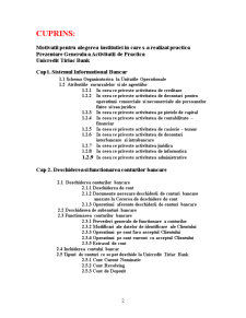 Monografie Unicredit Țiriac Bank - Pagina 2