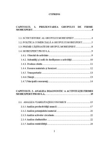 Analiza Diagnostic a Activitatii Firmei Mobexpert Prod SA - Pagina 1