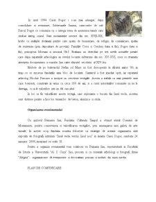 Strângerea de fonduri pentru conservarea și valorificarea catacombelor Iașului - Pagina 3