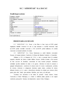 Analiză fundamentală - SC Aerostar Bacău SA - Pagina 2