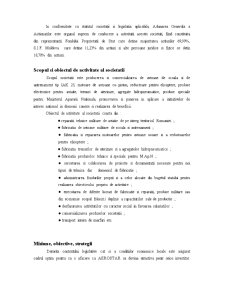 Analiză fundamentală - SC Aerostar Bacău SA - Pagina 3