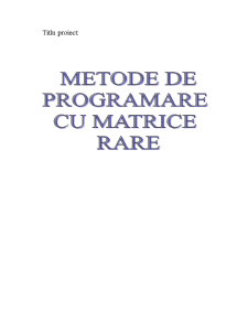 Metode de Programare cu Matrice Rare - Pagina 2