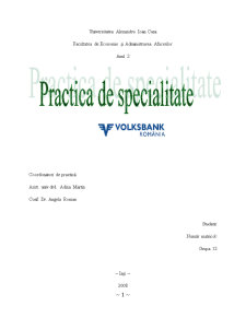 Proiect de practică Volksbank - Pagina 1