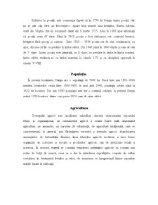 Redactarea monografiei localității Svinița - Pagina 4