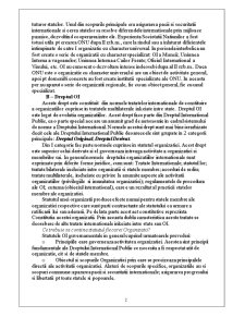 Dreptul organizațiilor internaționale - Pagina 2