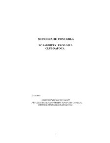 Monografie contabilă - SC Sabimpex Prod SRL Cluj-Napoca - Pagina 1