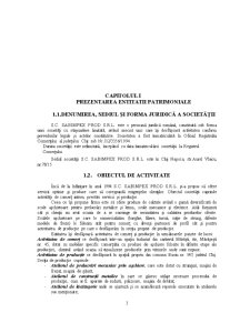 Monografie contabilă - SC Sabimpex Prod SRL Cluj-Napoca - Pagina 3
