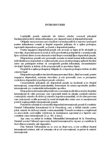 Răspunderea Internațională Penală - Pagina 3
