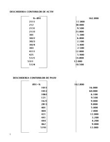 Dosar Lucrari Practice Contabilitate - Pagina 6