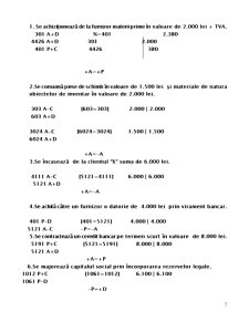 Dosar Lucrari Practice Contabilitate - Pagina 7