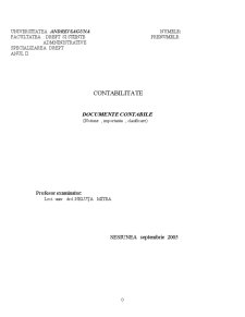 Documente Contabile - Notiune, Importanta, Clasificare - Pagina 1