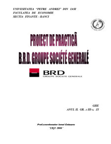 Proiect de practică la BRD în 2007 - Pagina 1