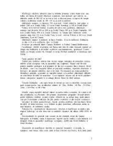 Monografia municipiului Iași - Pagina 2