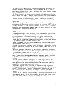 Monografia municipiului Iași - Pagina 4