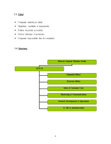 Proiect Management Cosmote - Pagina 4