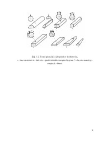 Industrializarea Primară a Lemnului - Pagina 10