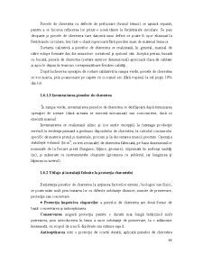 Industrializarea Primară a Lemnului - Pagina 11