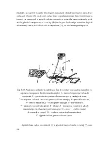 Industrializarea Primară a Lemnului - Pagina 29